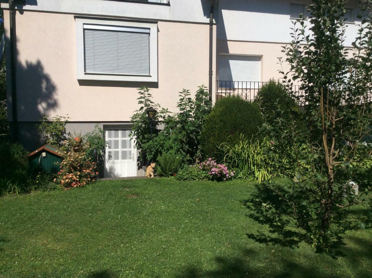 Austria Center - An Der Donau Appartement *